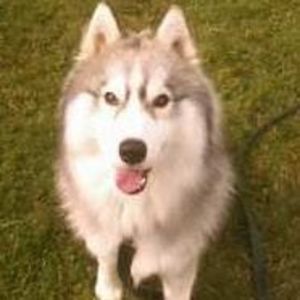 Meet your Posher, Benjamin